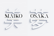 Kenjo Font Duo + Free Sans, a Sans Serif Font by Anthony James (Thumbnail 6 of 19)