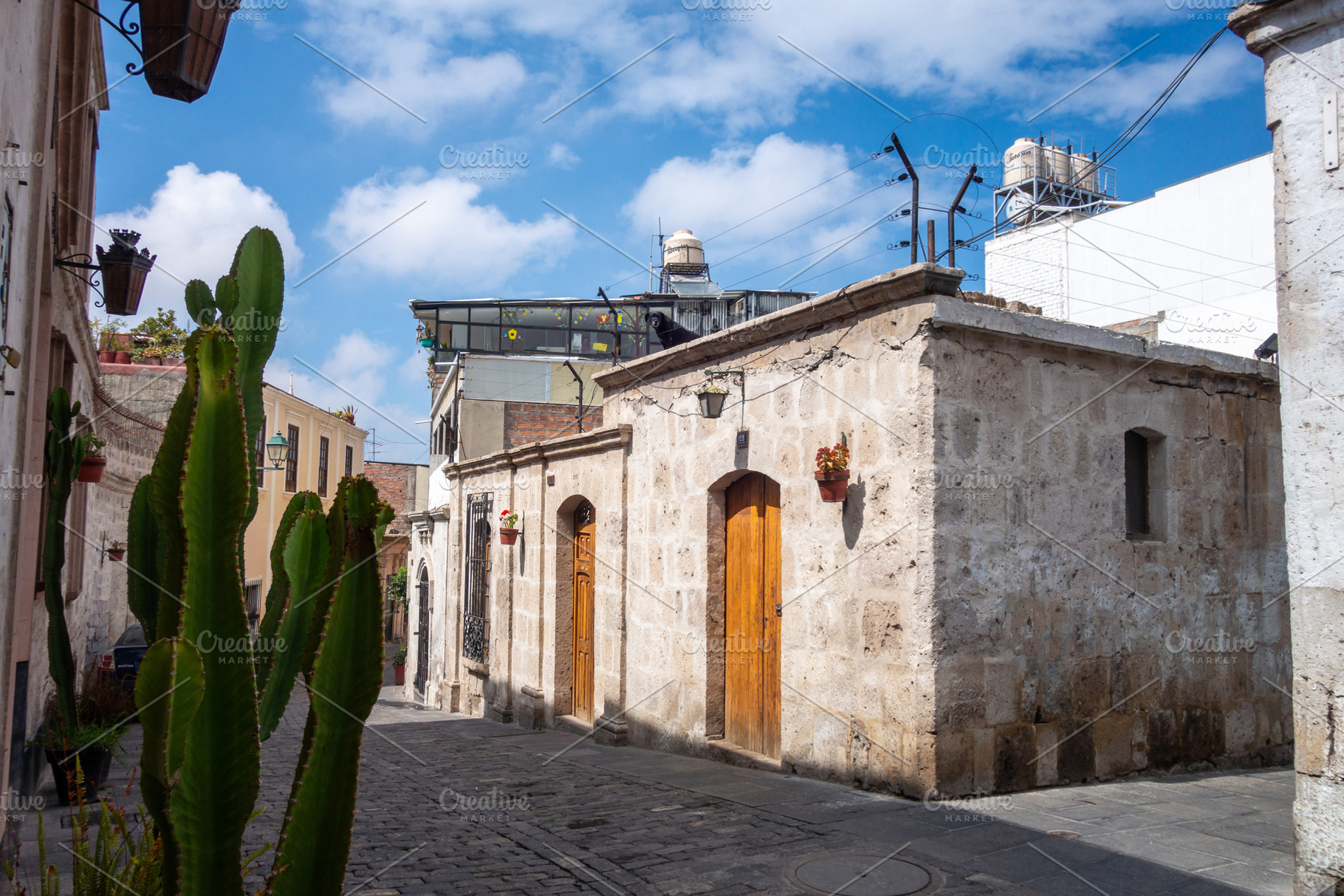 Houses in Arequipa, Peru with cactus and cobblestone streets, an Architecture Photo by GoodGoods