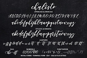Chalisto Script, a Script Font by joelmaker (Thumbnail 9 of 10)