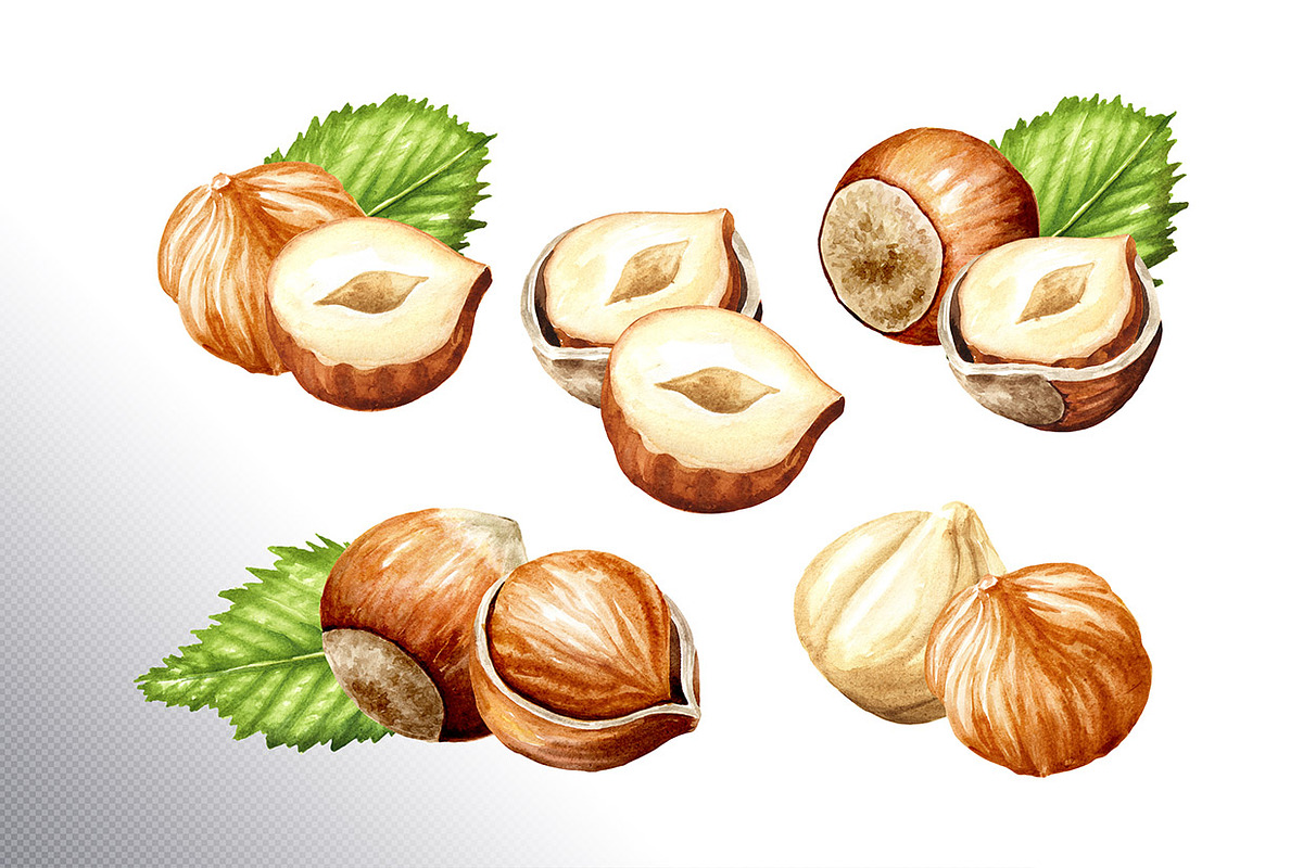 Huzelnuts. Watercolor collection, a Food Illustration by Daria Ustiugova (Photo 6 of 23)