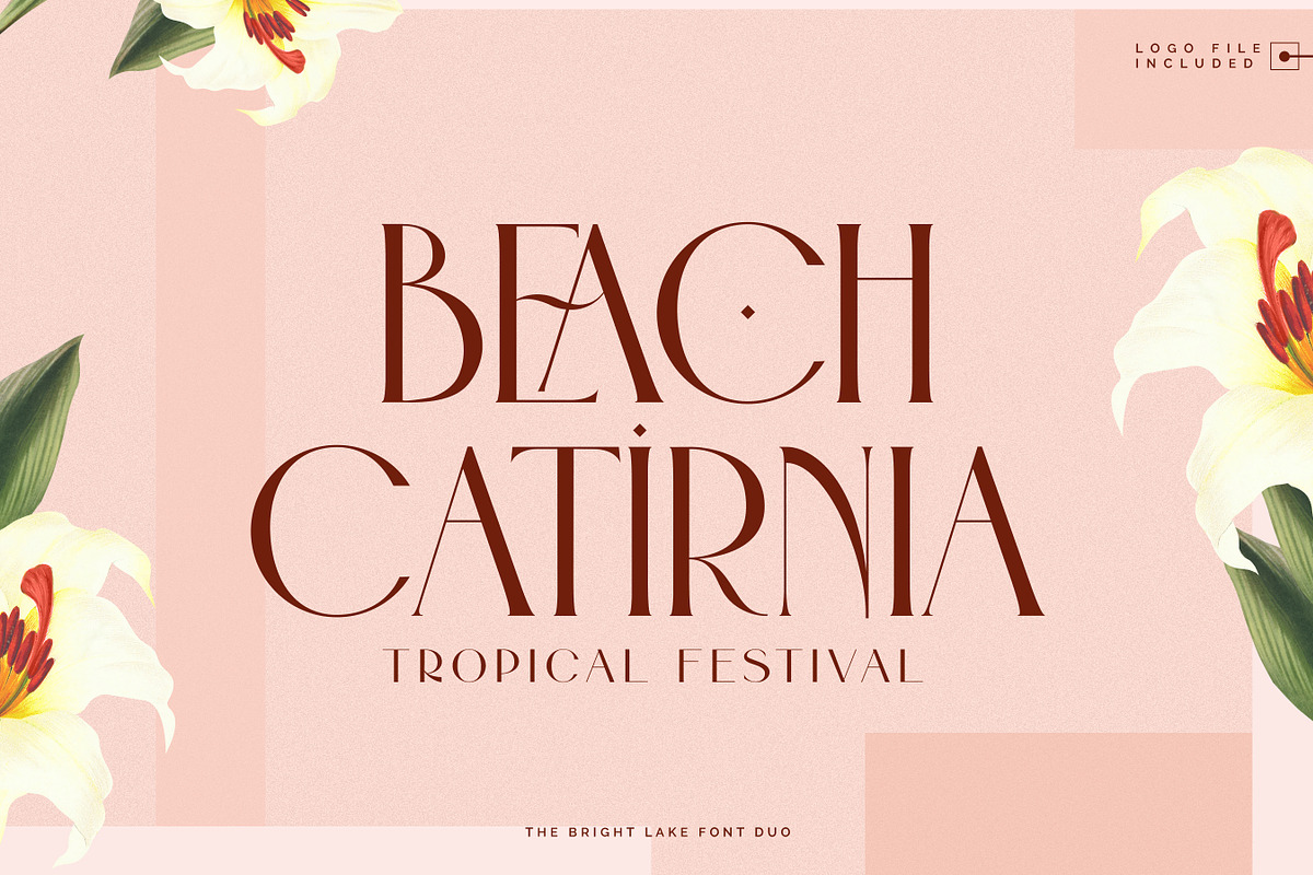 The Bright Lake Font Duo + Logos, a Serif Font by SNIPESCIENTIST (Photo 12 of 31)