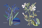 Vintage Flowers Vol.03 - Extra Large, an Illustration by Greta Ivy (Thumbnail 13 of 15)