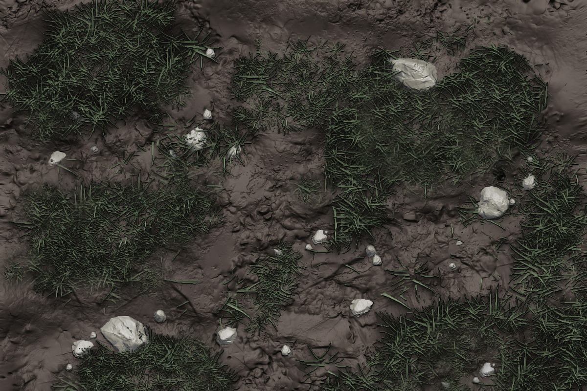 SALE! - Zbrush+Textures - Grass, an Environmental 3D Model by PurePolygons (Photo 3 of 3)
