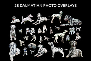 28 Dalmatian Photo Overlays