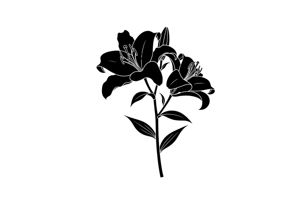 Black Lily Flower Vector Bundle, an Illustration by Designs_River (Photo 32 of 51)