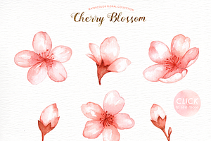 Cherry Blossom Watercolor Clip Art