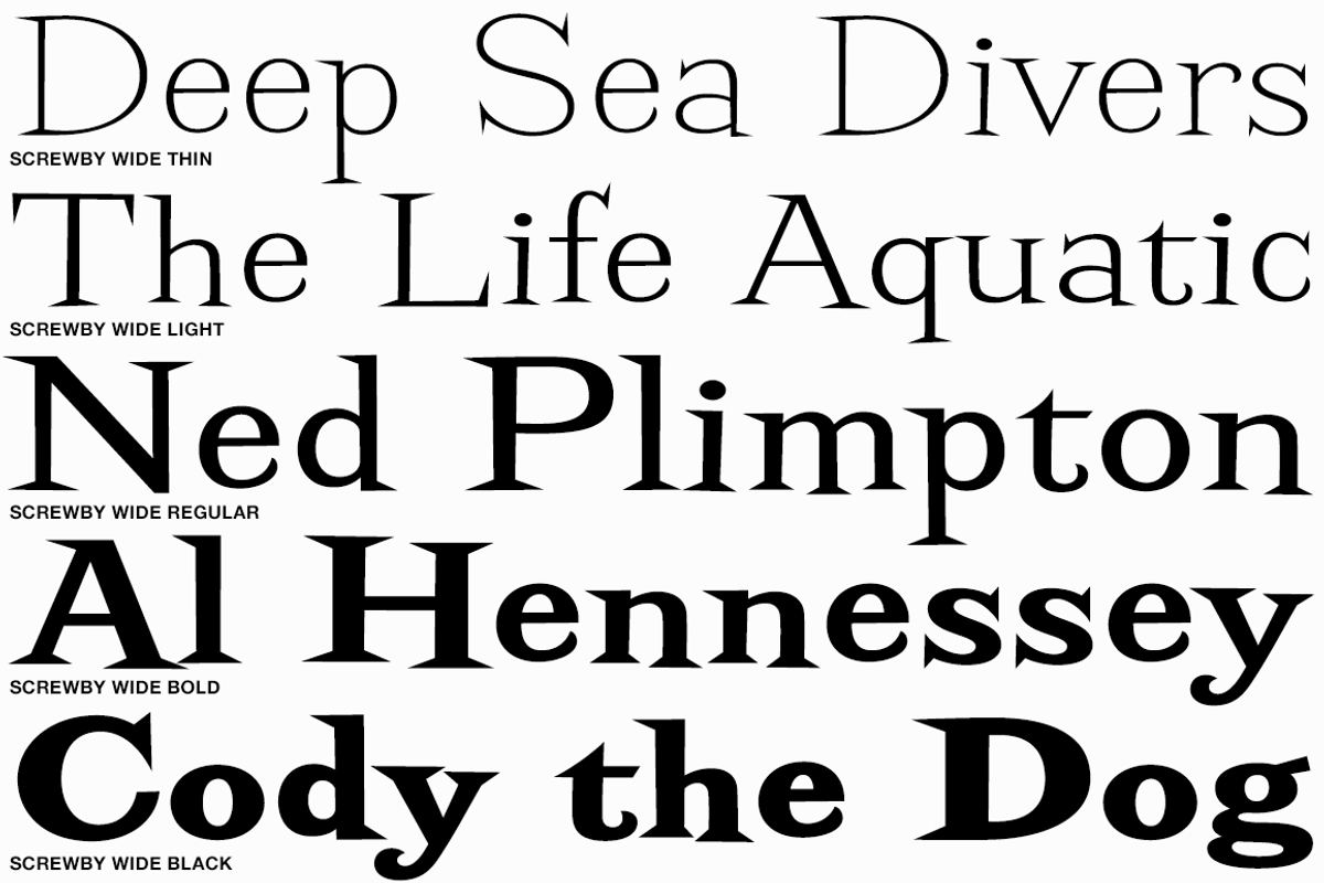 Screwby Wide Family, a Serif Font by Pink Broccoli (Photo 2 of 3)