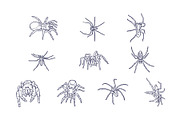 Breeds Spider Handdrawn Vol 2, an Animal Illustration by SLAB! Design (Thumbnail 3 of 3)