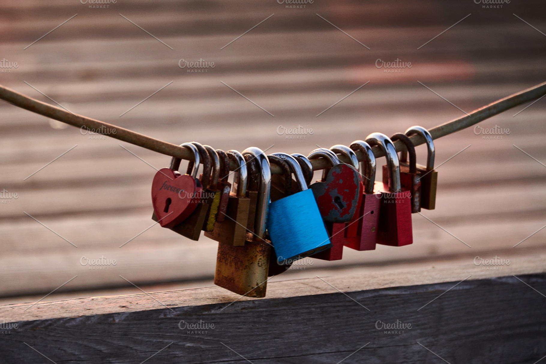 Love locks weathered on a chain on a bridge, a Nature Photo by Fotowunsch - photography 