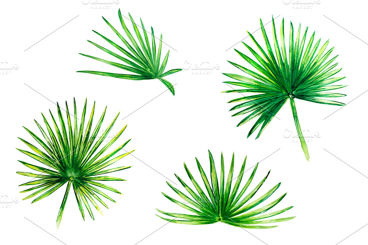 Tropical leaves watercolor, a Decorative Illustration by lilisavelieva (Photo 4 of 4)