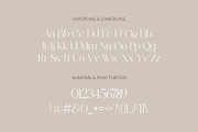 Griffin - Modern Serif, a Serif Font by dealitastudio (Thumbnail 12 of 13)