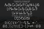Christmas Stocking, a Sans Serif Font by FreshTypeINK (Thumbnail 3 of 8)