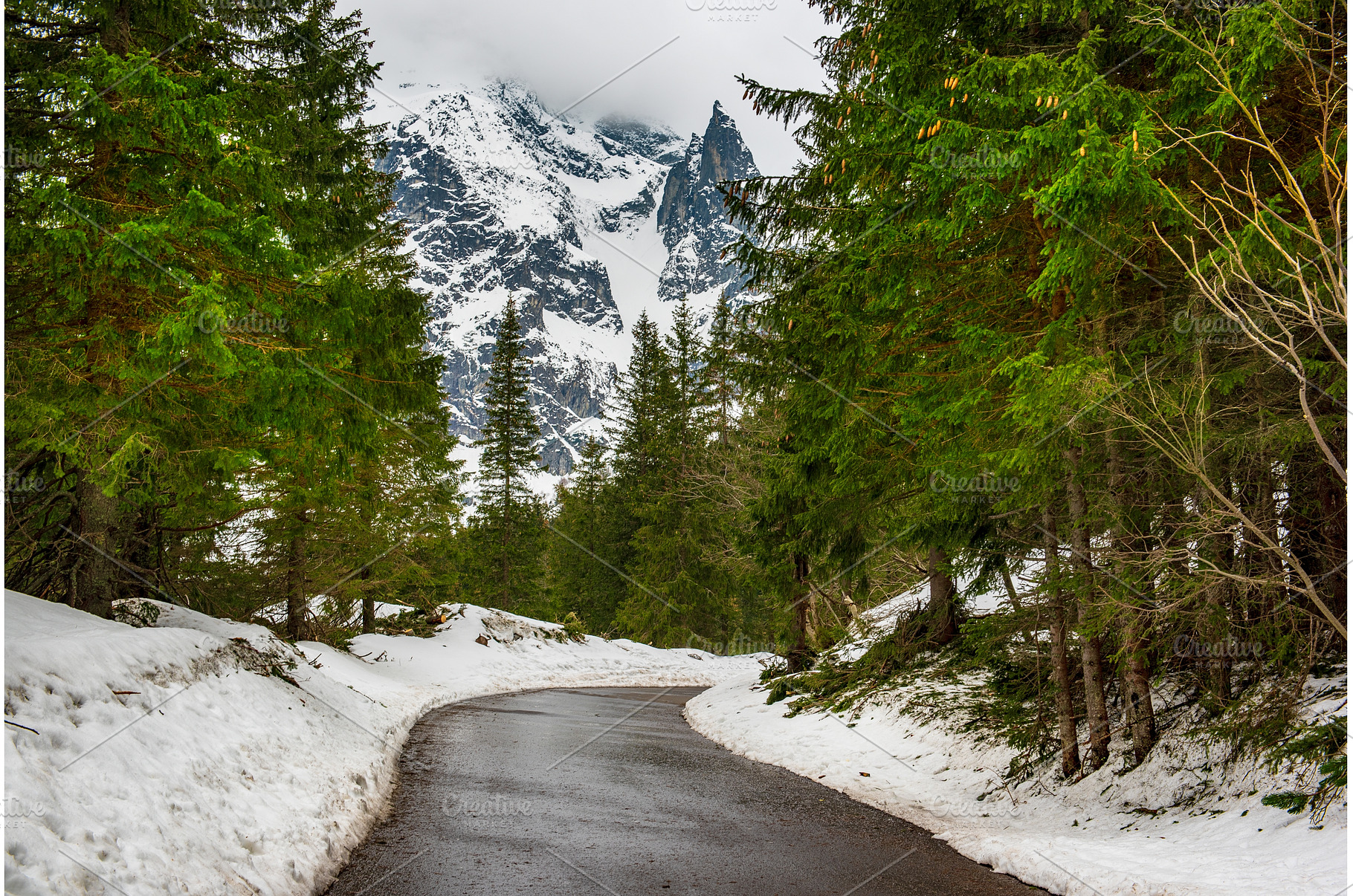 Mountain fir forest and the road, a Nature Photo by Nature and travel