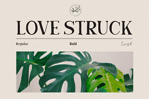 Love Struck - Hand Craft Font Duo