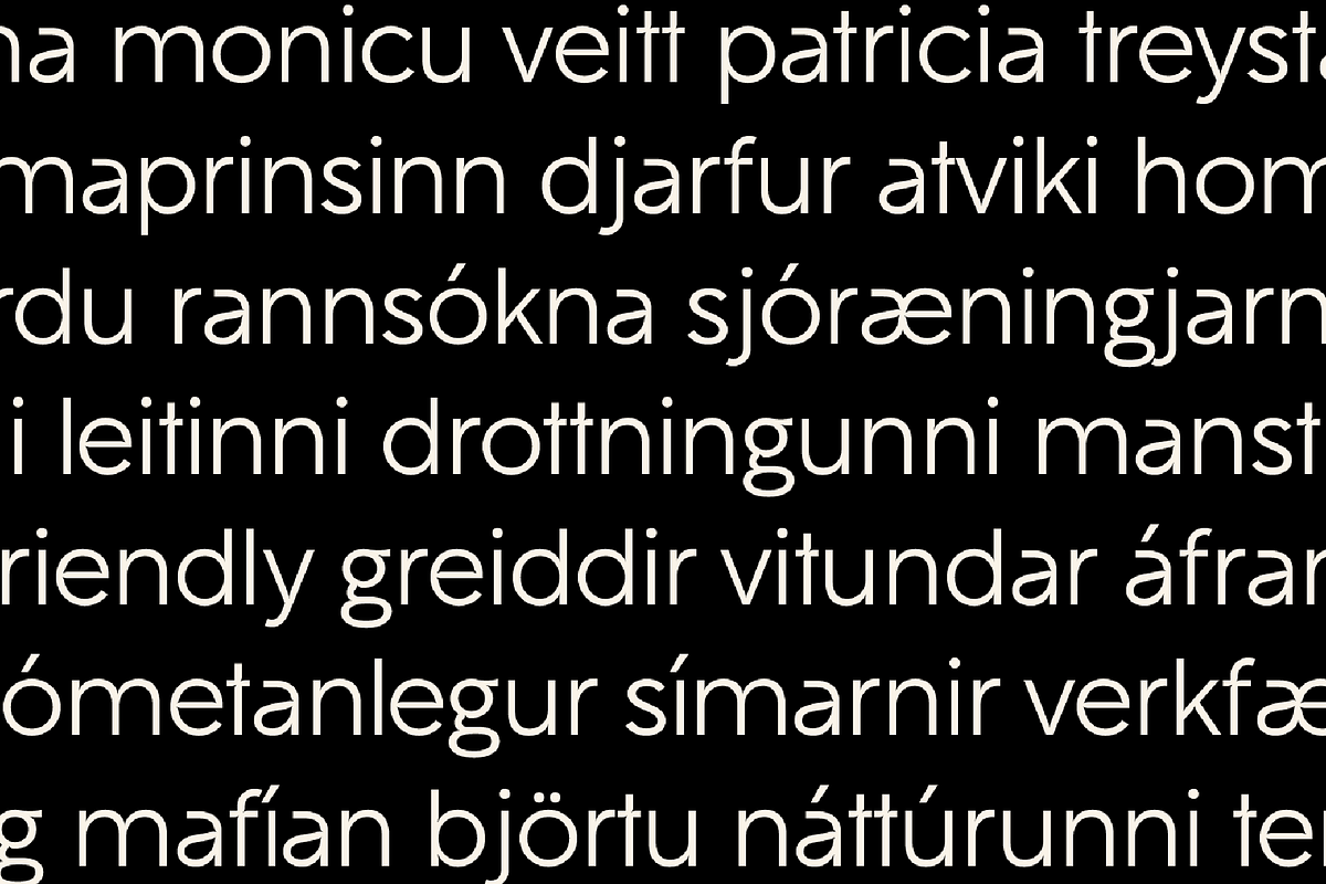 Gambit FD Neue, a Sans Serif Font by FontDuo (Photo 9 of 11)