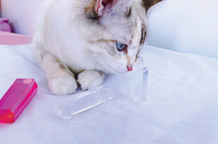 Sweet Kitty. preview 4