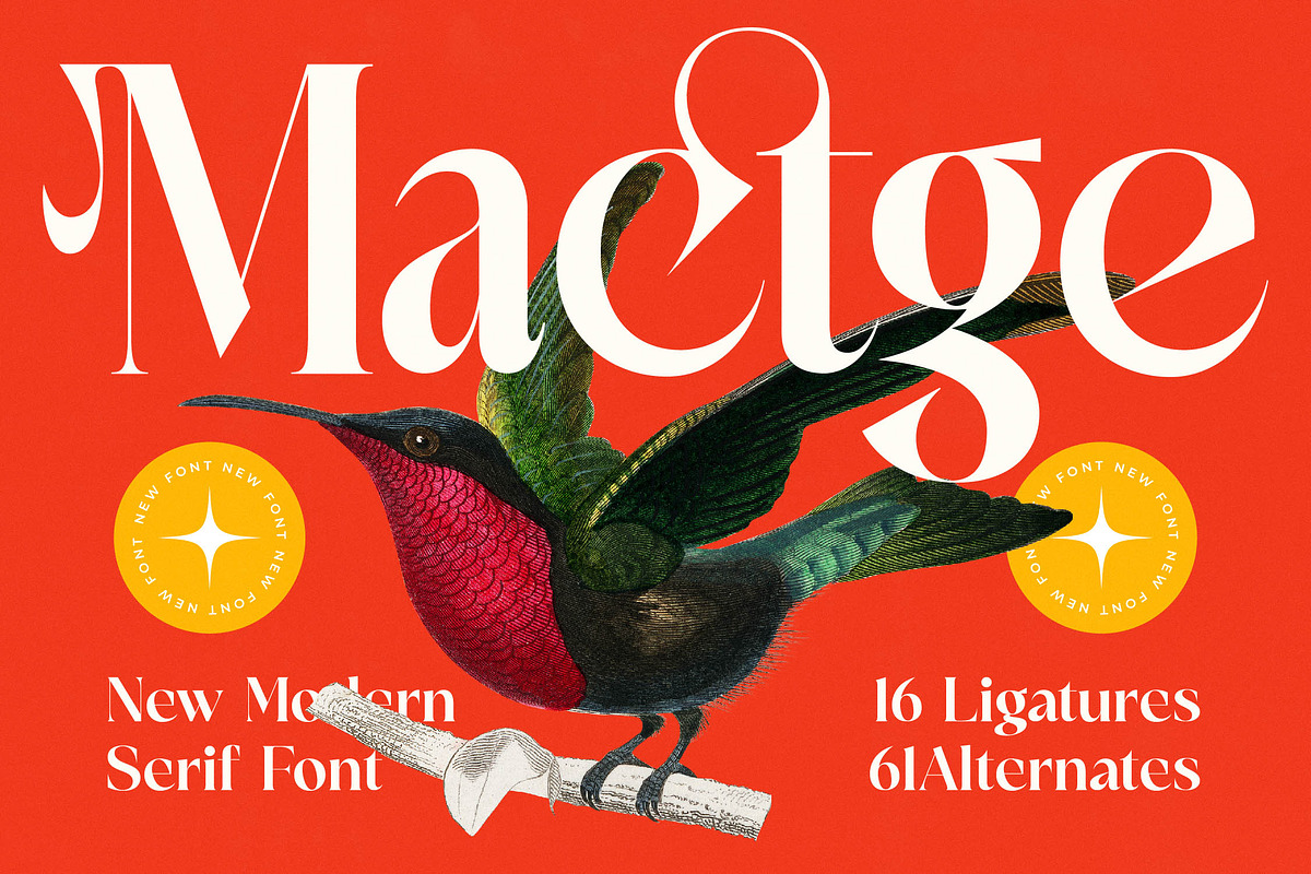 Mactge Modern Serif Display Font, a Serif Font by timelesstype.co (Photo 1 of 20)