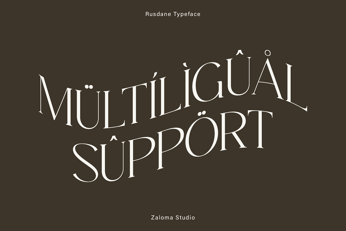 Rusdane, a Serif Font by Zaloma Studio (Photo 15 of 19)