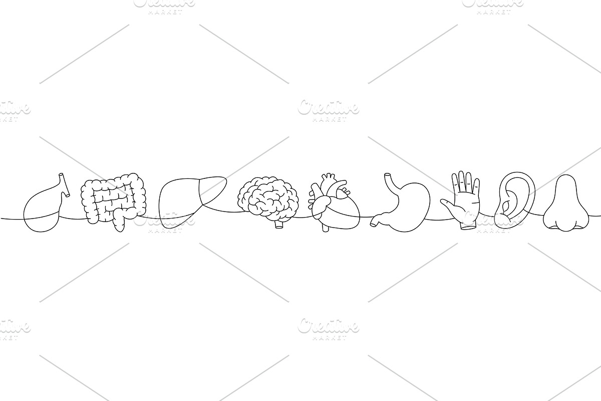 Set of human organ one line, a Healthcare Illustration by GraphiShop
