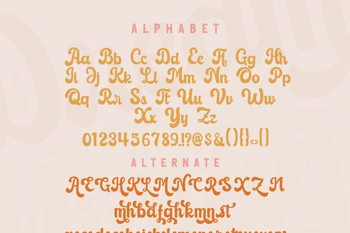 Dream Vintage, a Handwritten Font by Mini_World (Photo 2 of 5)