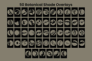50 Botanical Shade Overlays, a Pattern Graphic by 3Motional (Thumbnail 9 of 17)