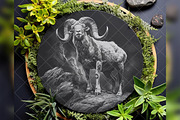 Ram Sheep Bighorn Male Goat Breed, a Background Graphic by LaseredNinja (Thumbnail 6 of 7)