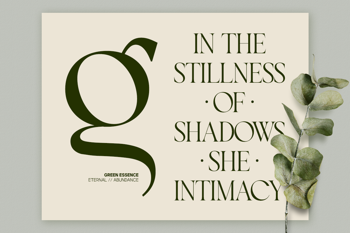GC Begia - Modern Luxury Typeface, a Serif Font by Glyphonic (Photo 10 of 15)