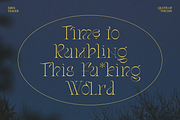 Stager - Unique Classy Serif, a Serif Font by Dharmas Foundry (Thumbnail 10 of 15)