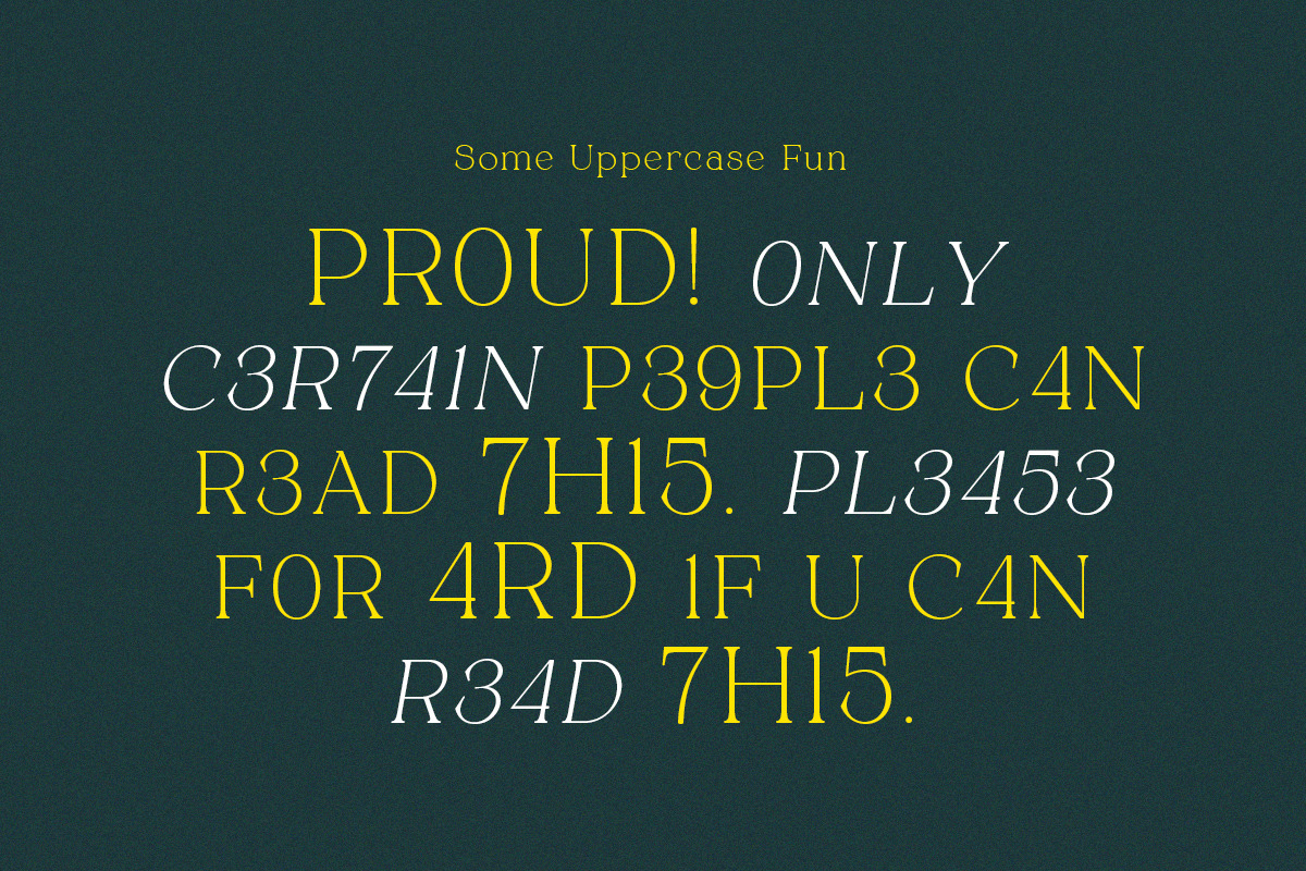 Alpinecia, a Serif Font by Pista Mova (Photo 2 of 19)