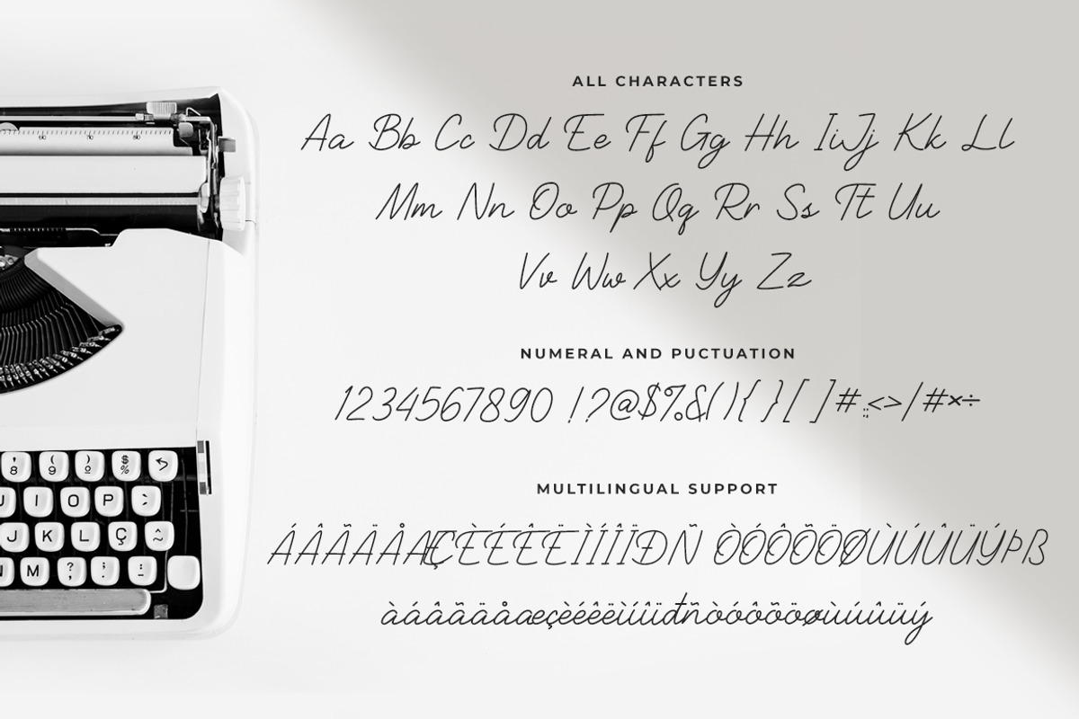 Stanford - Monoline Signature, a Handwritten Font by Heinzel Std (Photo 9 of 10)