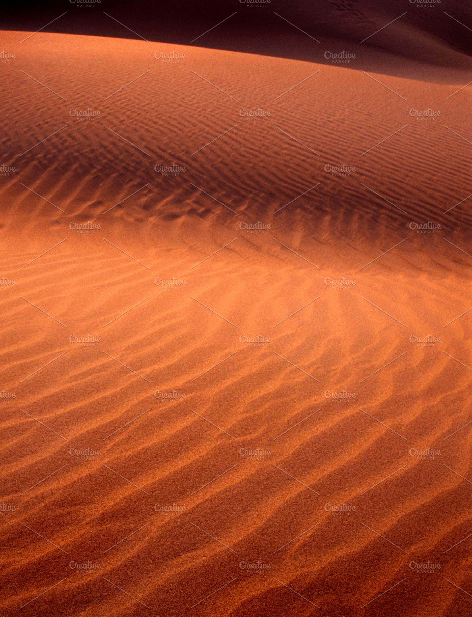 Sand Dune Detail Background, a Nature Photo by THP Creative