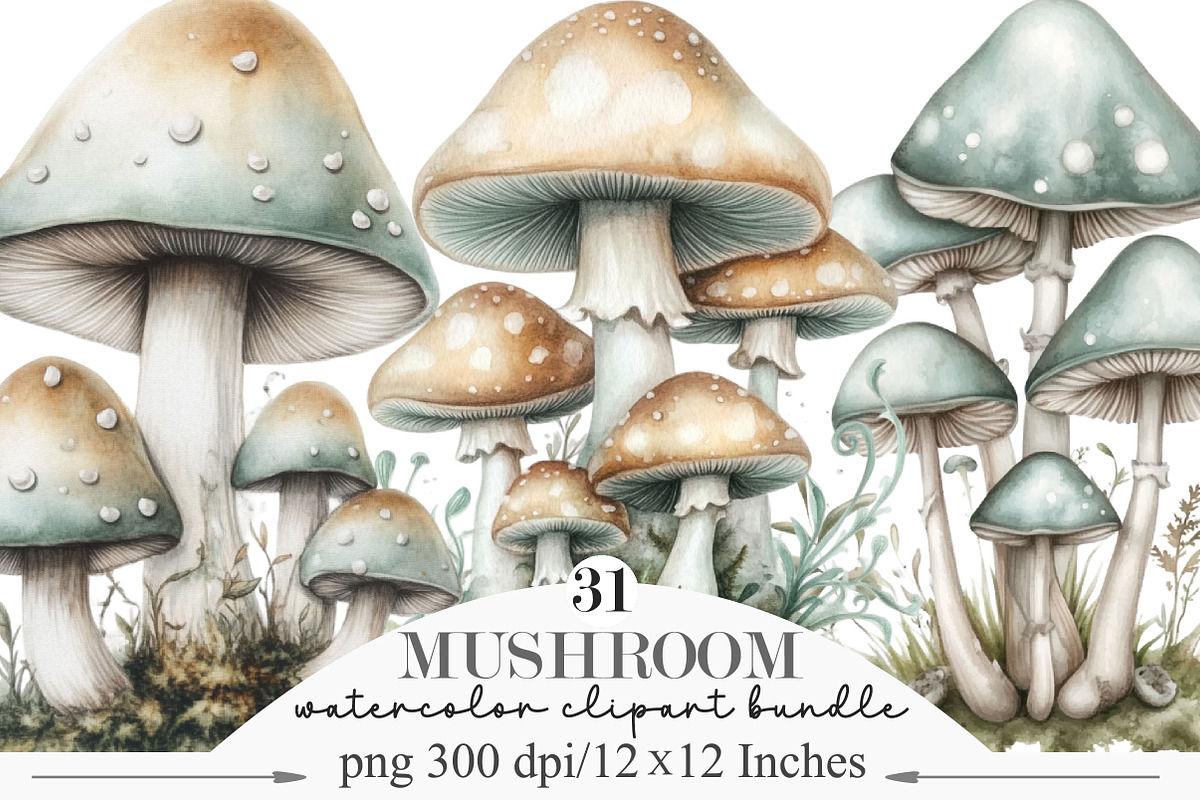 Watercolor Mushroom Clipart, an Illustration by Designking (Photo 1 of 5)