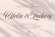 Delirian Script & Ornaments, a Script Font by Andrey Sharonov (Thumbnail 6 of 16)