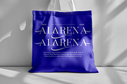 Magerla Serif, a Serif Font by IM Studio (Thumbnail 11 of 12)