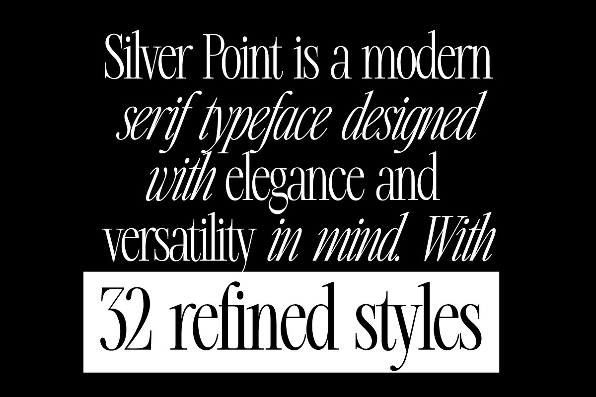 Silver Point–Elegant Editorial Serif, a Serif Font by Issam Type (Photo 2 of 21)