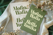 Buffery Reflika Modern Bold Serif, a Serif Font by timelesstype.co (Thumbnail 14 of 20)
