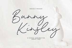 Bunny Kinsley Font, a Script Font by Timurtype