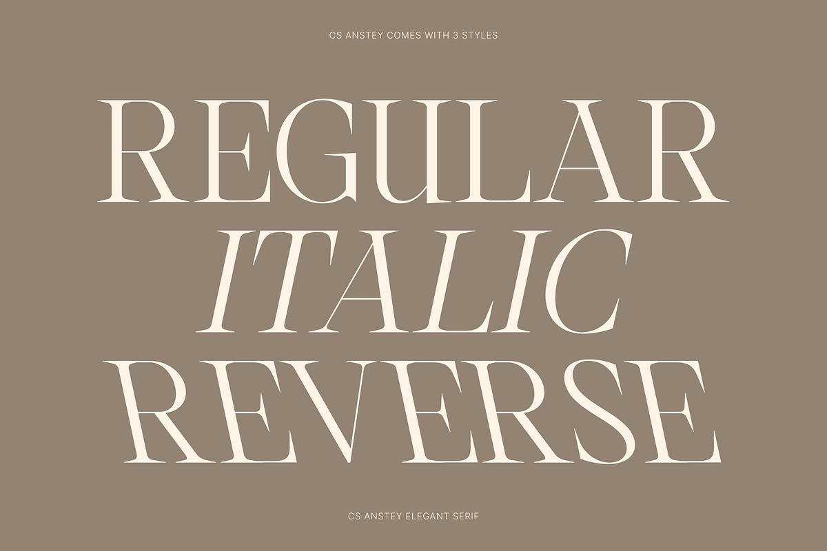 CS Anstey – Elegant Serif Font, a Serif Font by Craft Supply Co. (Photo 3 of 8)