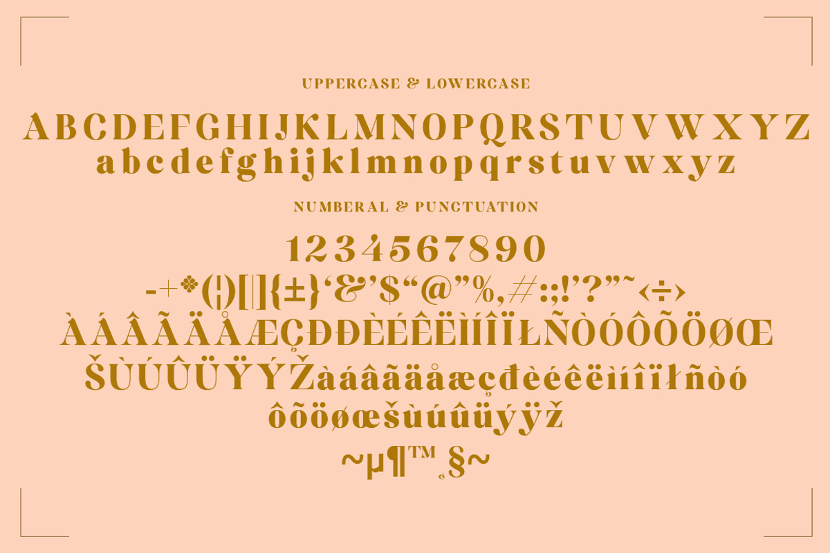 Karmella, a Serif Font by Mantype Studio (Photo 14 of 14)