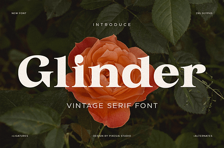 Glinder - Elegant Vintage Serif Font