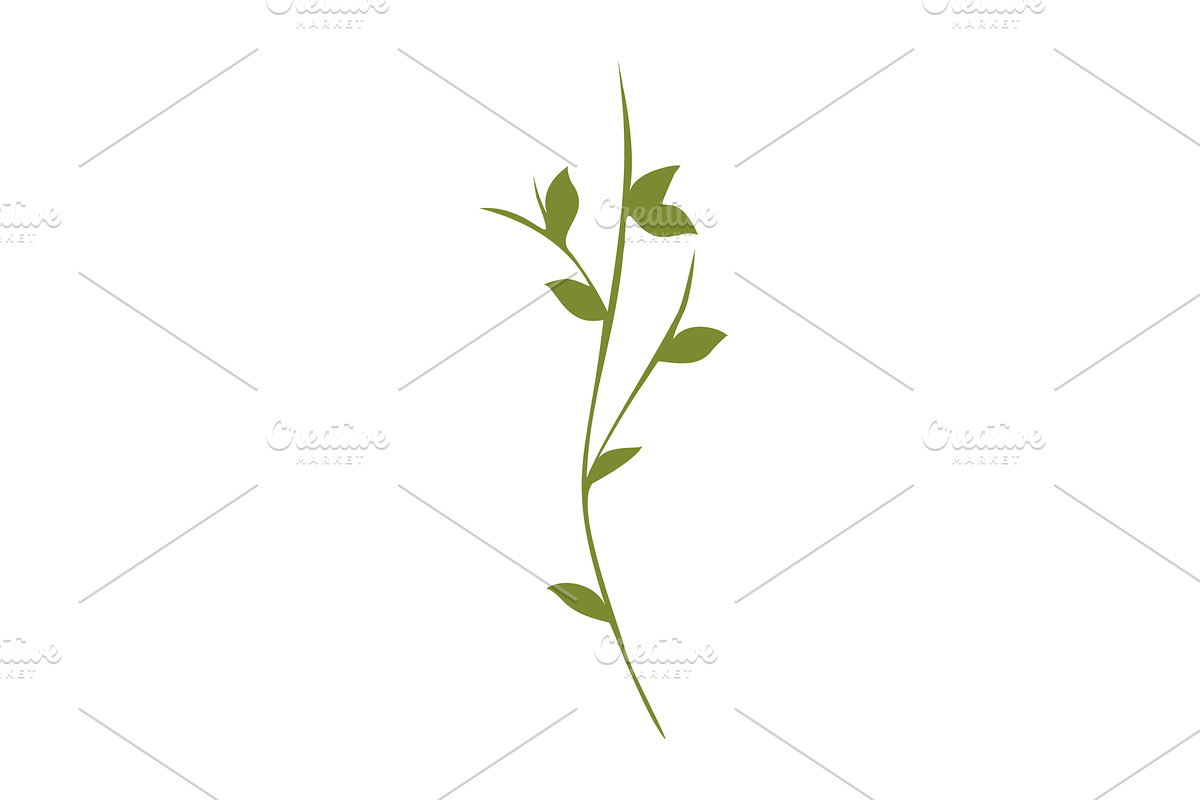 Green plant stem with leaves on, an Object Illustration by okskukuruza