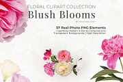 PNG Floral clipart collection, an Object Graphic by Imageblend (Thumbnail 1 of 8)