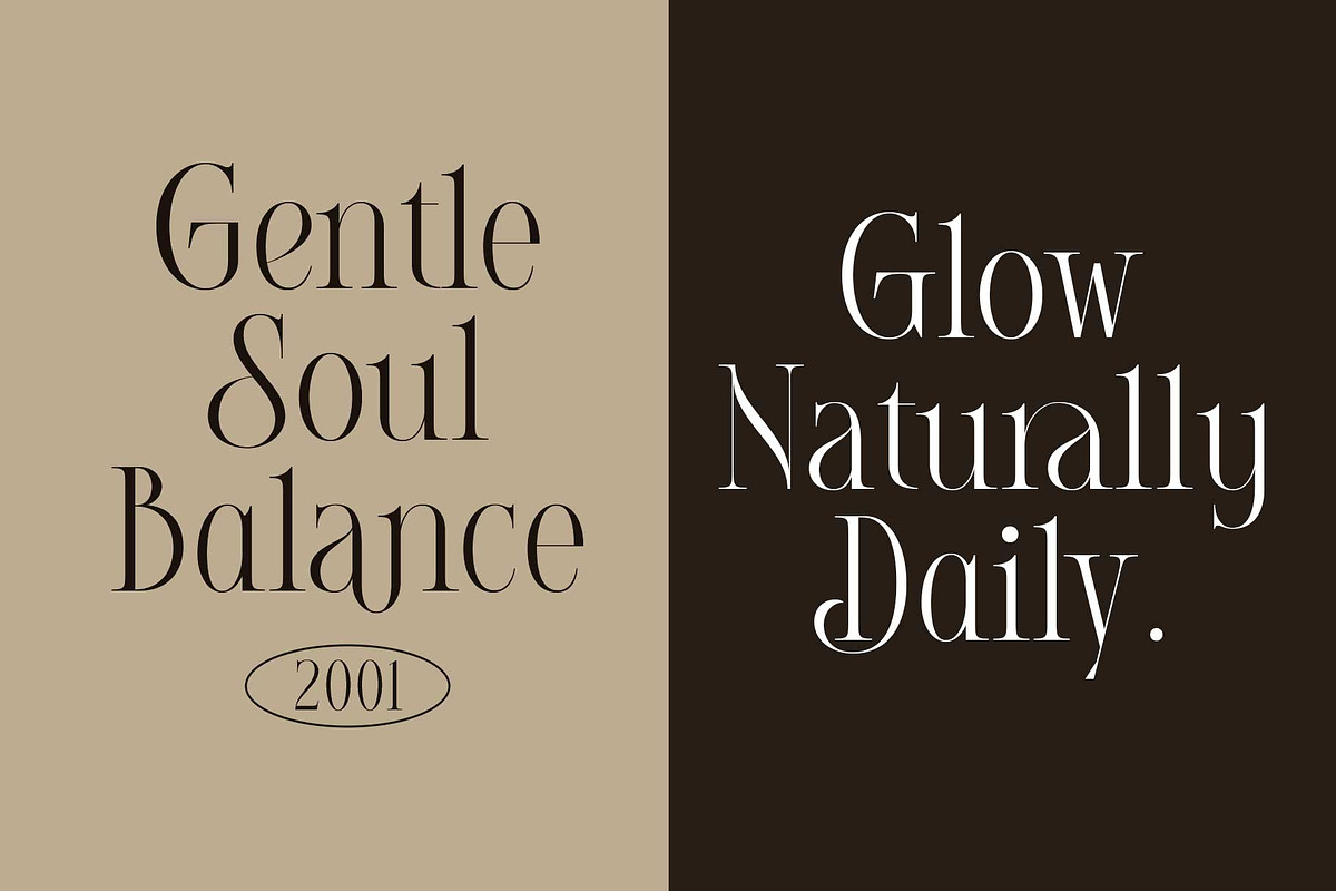 Imperial Grace - Modern Classic, a Serif Font by Novitype (Photo 11 of 12)