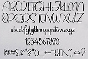 Taiger, a Script Font by Canden Meutuah (Thumbnail 6 of 7)