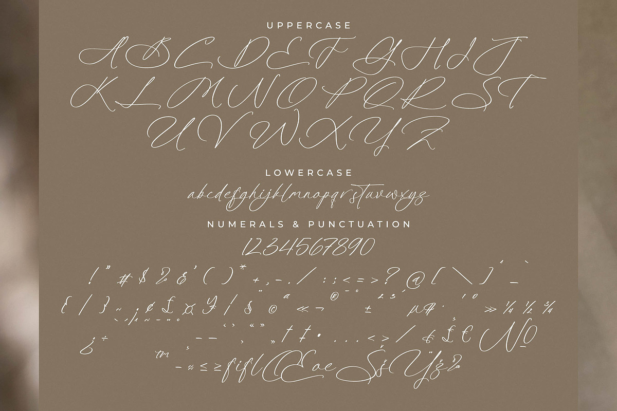 Platimye Stylish Signature Font, a Script Font by Letterena Studios Script (Photo 13 of 15)