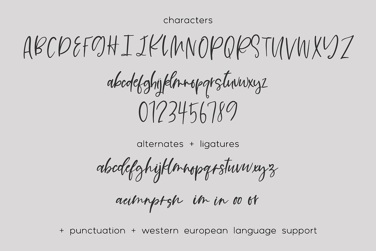 Impulsive Script, a Script Font by Beck McCormick (Photo 10 of 10)