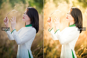 Citrine Pro Lightroom Presets