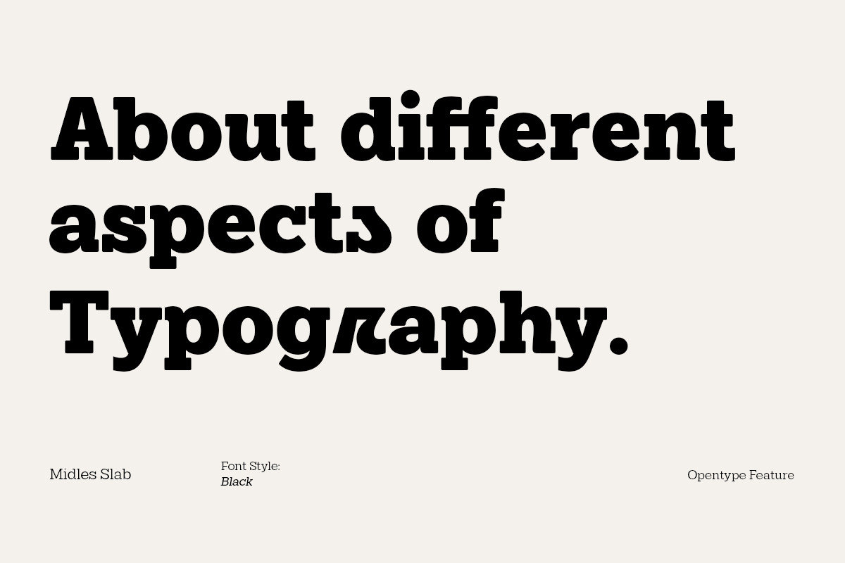 Midles Slab, a Slab Serif Font by Attract Studio (Photo 2 of 15)