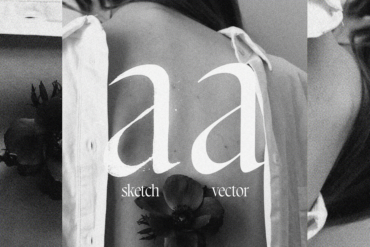 Promenade | A Calligraphic Serif, a Serif Font by Jen Wagner Co (Photo 6 of 13)