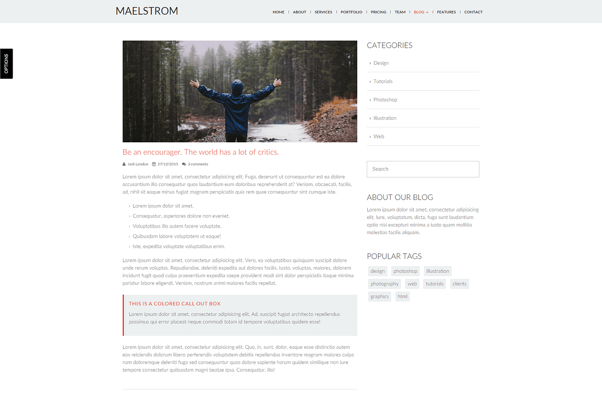 Maelstrom: Powerful Website Template, a HTML Template by Devero (Photo 9 of 9)